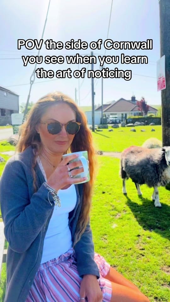 Post 2 by Jess Eats Cornwall on TikTok (video)