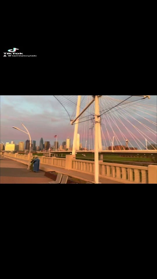 Post 4 by LaToyia B. on TikTok (video)