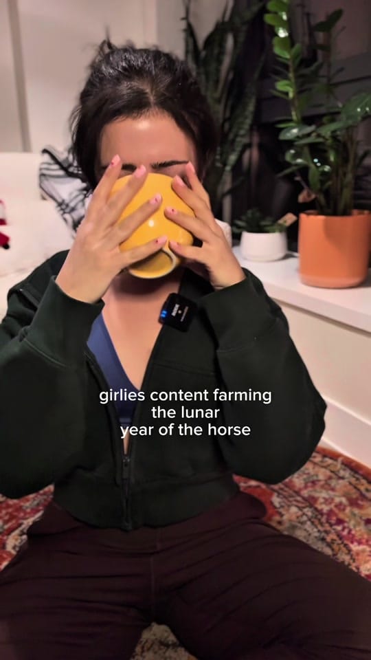 Post 4 by Sarah Franco on TikTok (video)