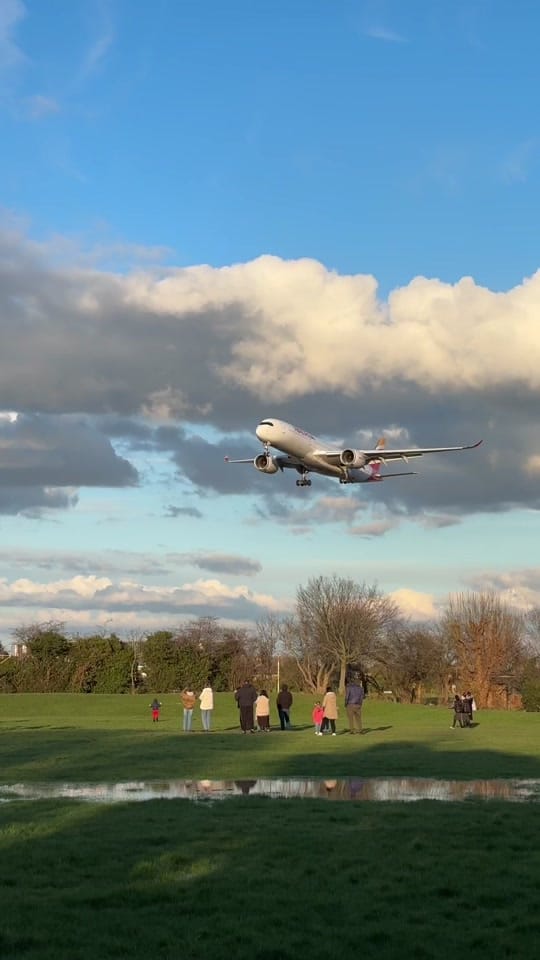 Post 5 by Lscspotting on TikTok (video)