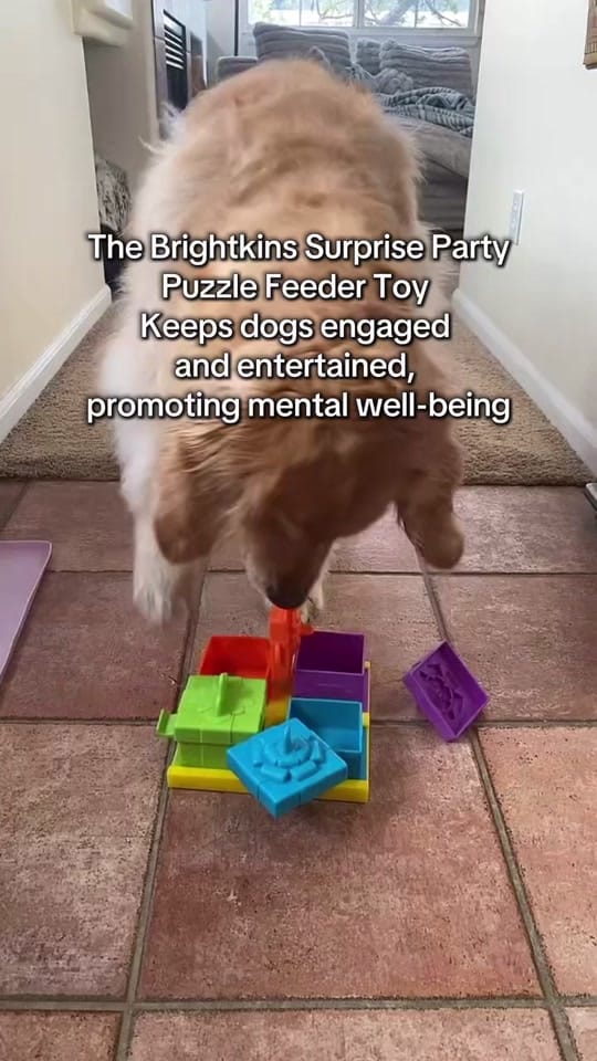 Post 9 by London Sofia the Golden on TikTok (video)