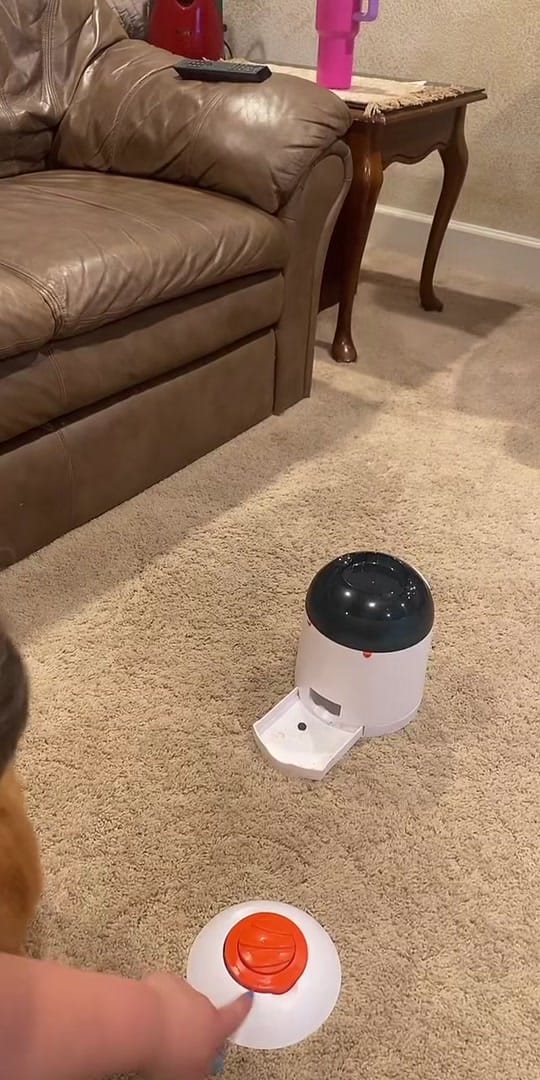 Post 10 by London Sofia the Golden on TikTok (video)