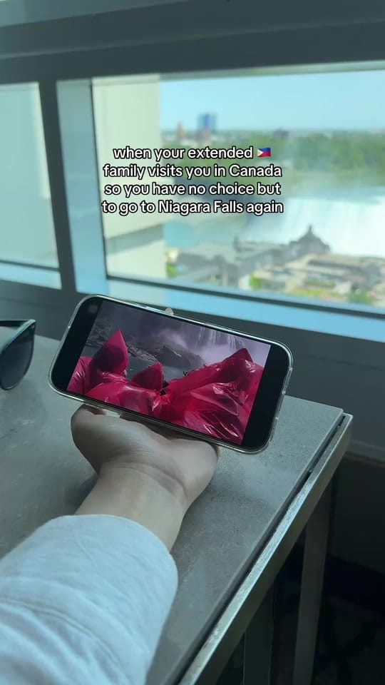 Post 2 by Tricia | @triciapatio on TikTok (video)
