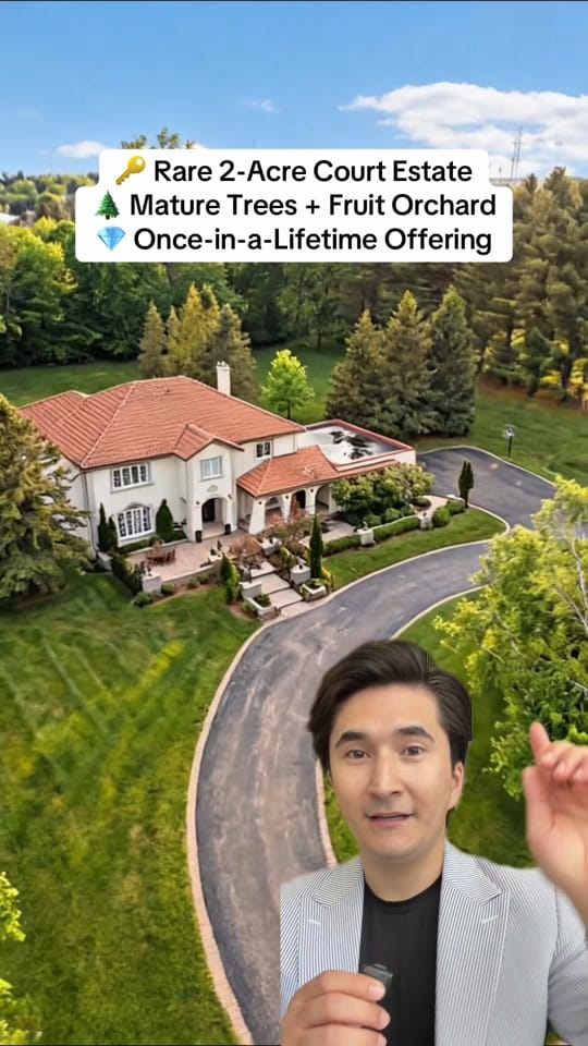 Post 2 by Ray Ahmadi on TikTok (video)