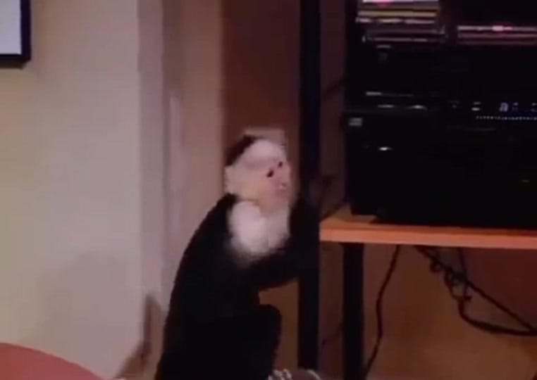 Post 5 by metalheavymovie on TikTok (video)