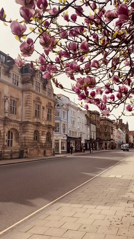 Post 10 by Oxford Story on TikTok (video)