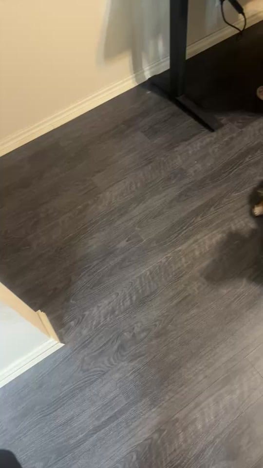 Post 4 by Austin Loughmiller on TikTok (video)