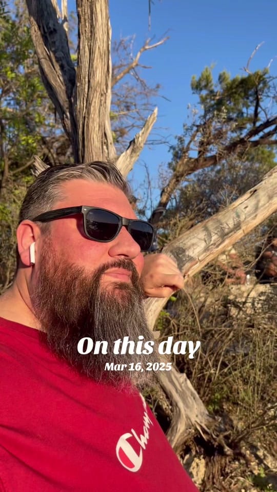 Post 7 by David Wayne | Comedian on TikTok (video)