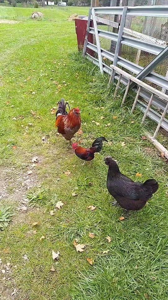 Post 10 by Good luck with that 🥱✌️ on TikTok (video)