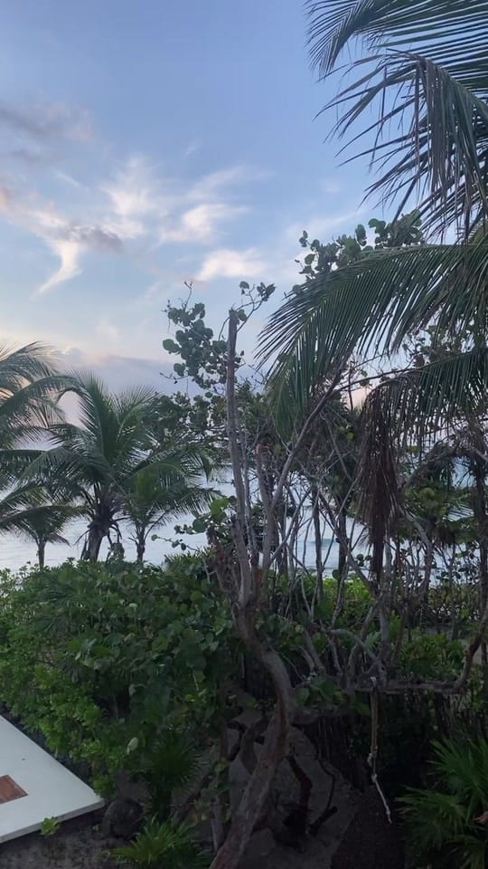 Post 10 by Heather ❥ on TikTok (video)