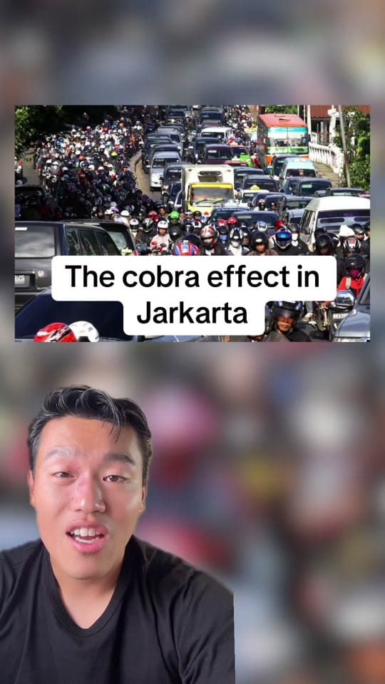 Post 10 by Jimmy Maio on TikTok (video)