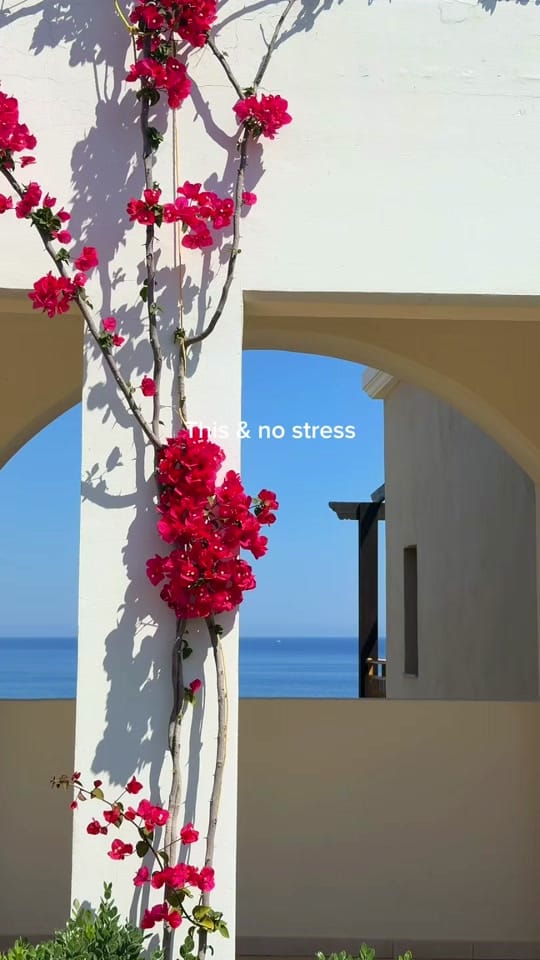 Post 3 by The_passionatetraveler on TikTok (video)