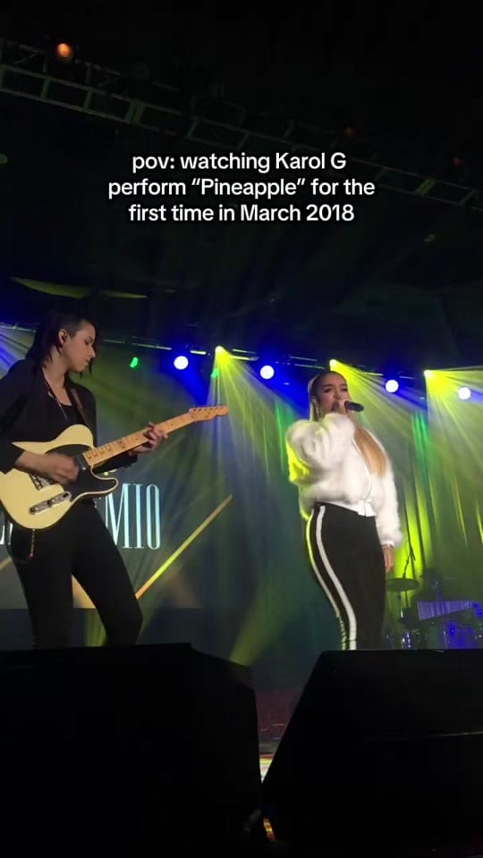 Post 2 by Concert Kate on TikTok (video)