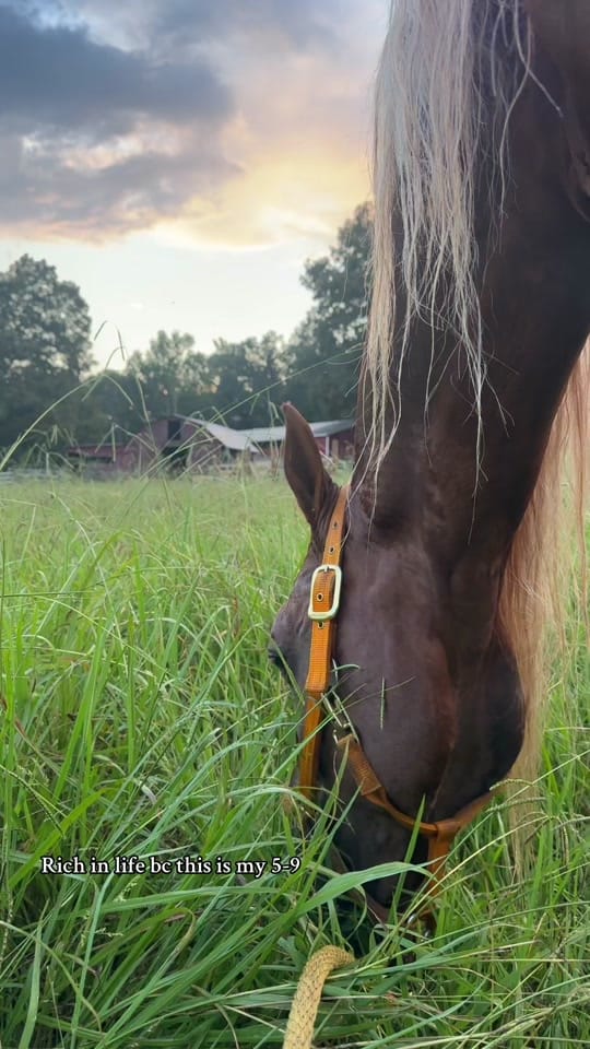 Post 6 by Presleypowers13 on TikTok (video)
