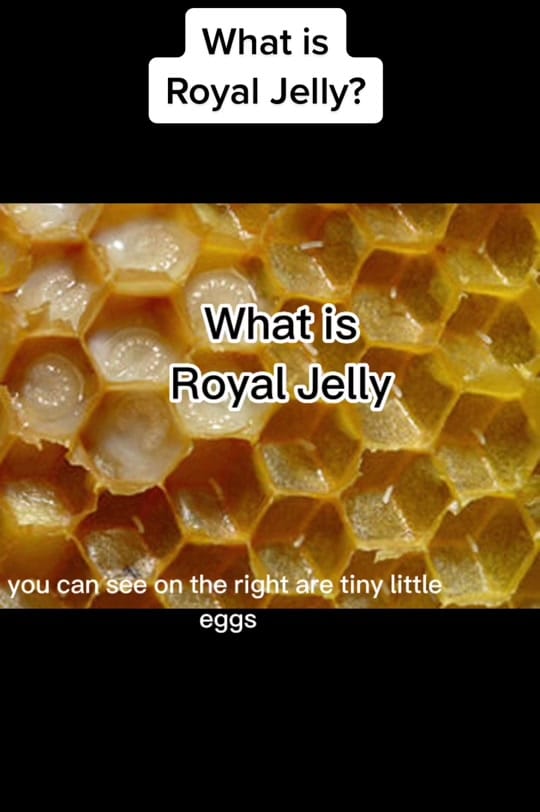 Post 9 by Bee Magic on TikTok (video)