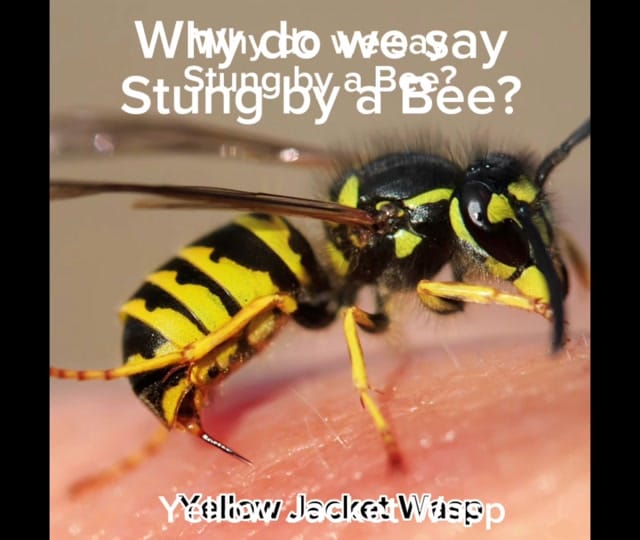 Post 10 by Bee Magic on TikTok (video)