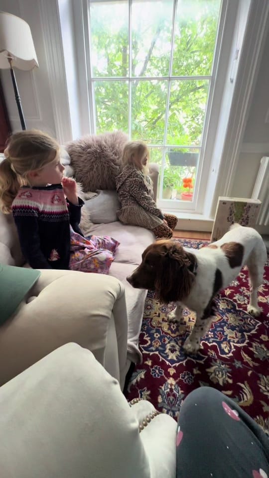 Post 1 by IsabellaSimpleAs on TikTok (video)