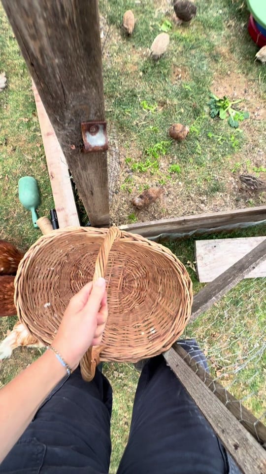 Post 9 by IsabellaSimpleAs on TikTok (video)