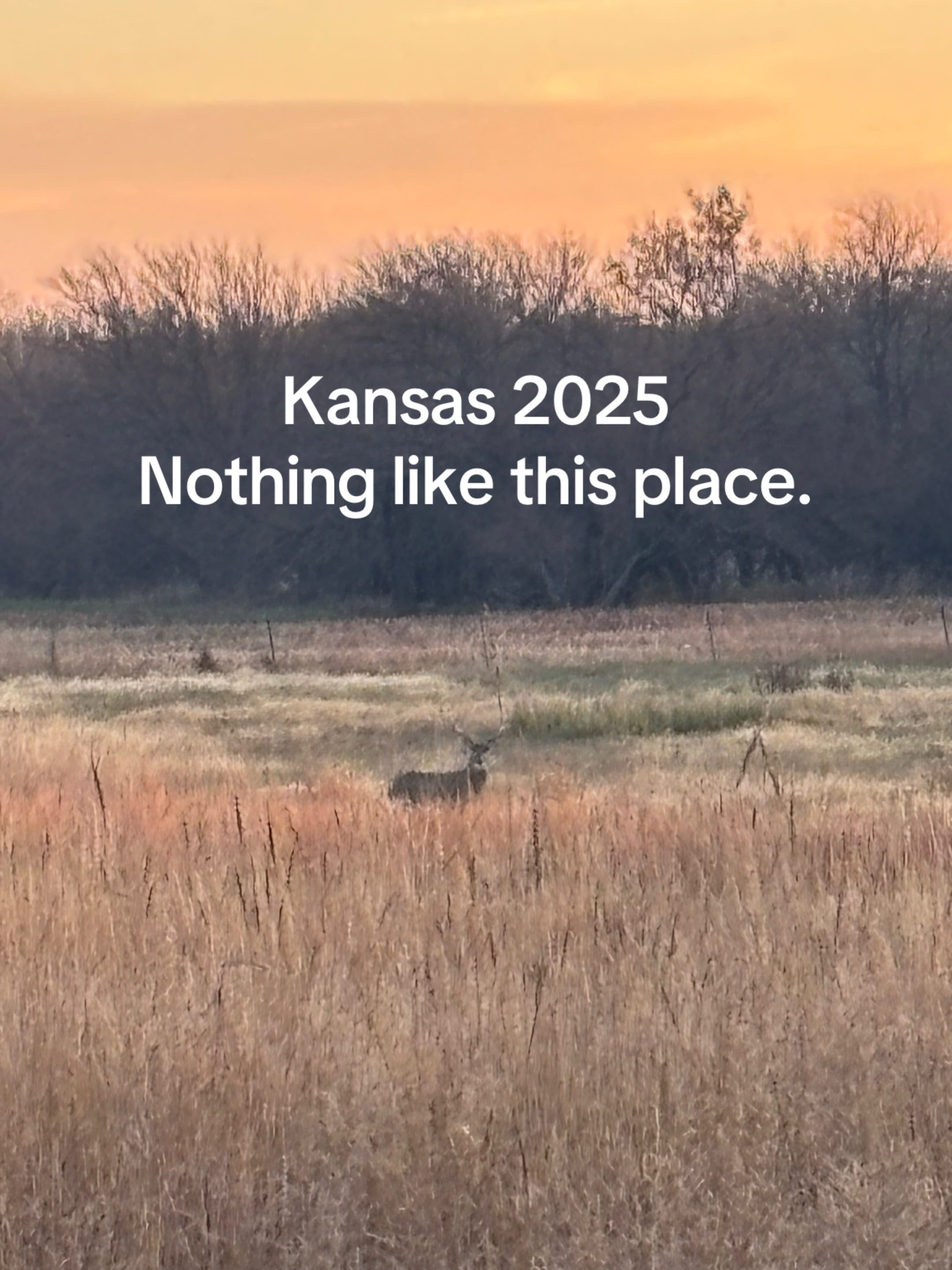 Post 4 by Jason Smith on TikTok (video)