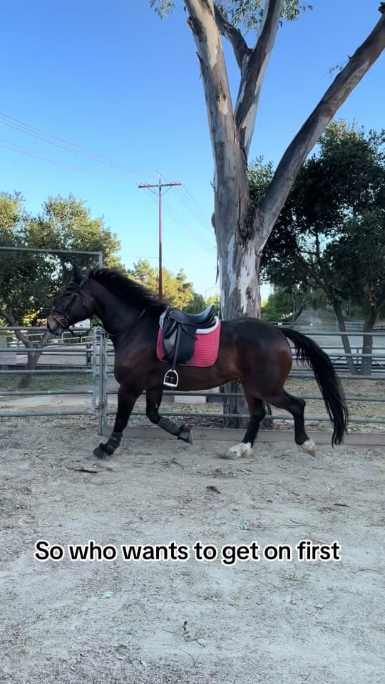 Post 1 by Emma Mabry on TikTok (video)
