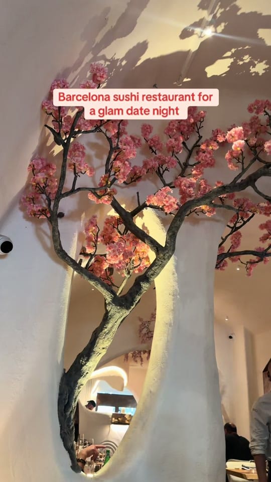 Post 1 by JetSetGypsea on TikTok (video)