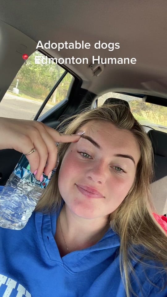 Post 9 by Mme Madi 🫶🏼📘🧠 on TikTok (video)
