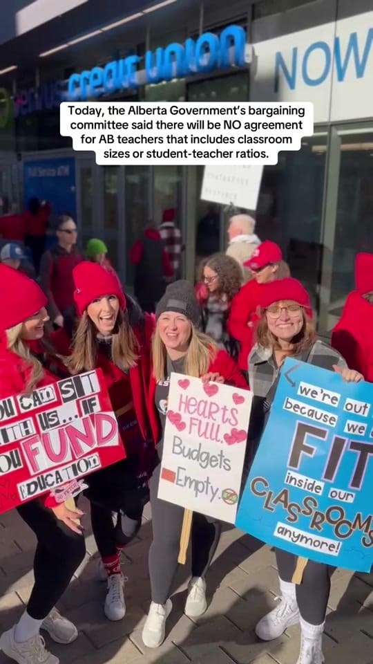 Post 1 by Teacher | Ms. Haut on TikTok (video)