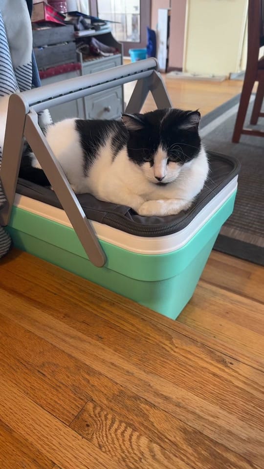 Post 3 by misslee.v on TikTok (video)