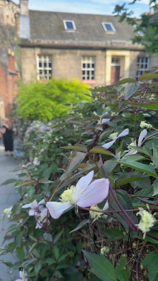 Post 5 by VisitScotlandTours on TikTok (video)