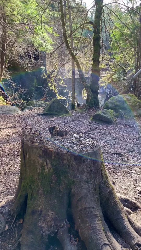 Post 10 by VisitScotlandTours on TikTok (video)