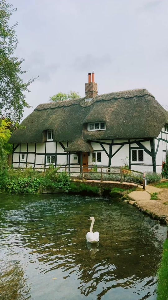 Post 1 by Daniel Casson on TikTok (video)