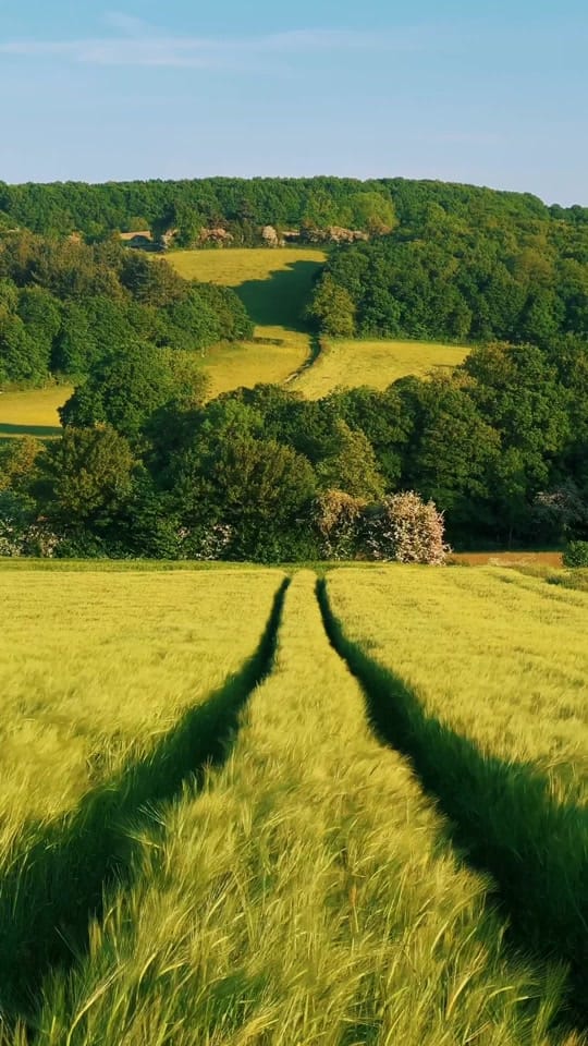 Post 9 by Daniel Casson on TikTok (video)