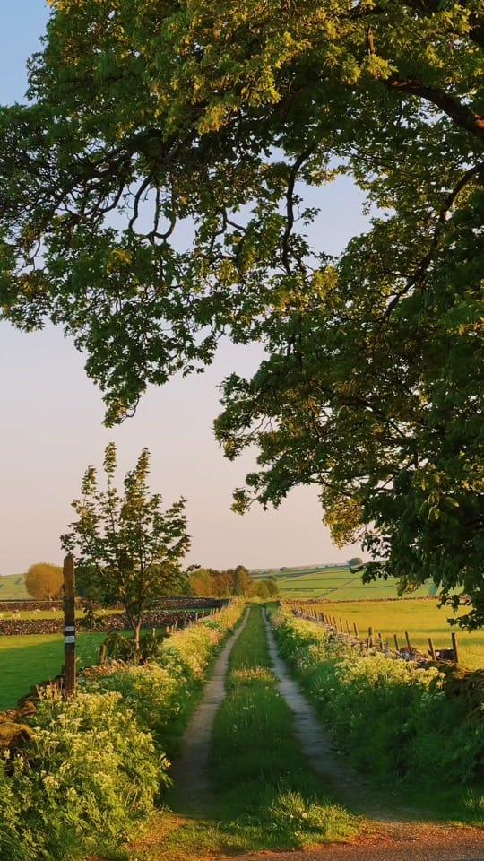 Post 8 by Daniel Casson on TikTok (video)