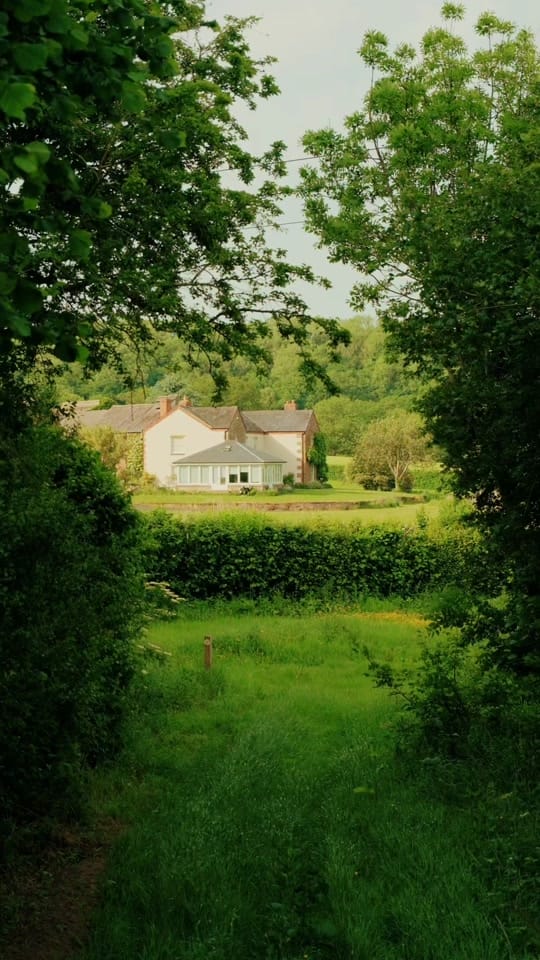 Post 6 by Daniel Casson on TikTok (video)