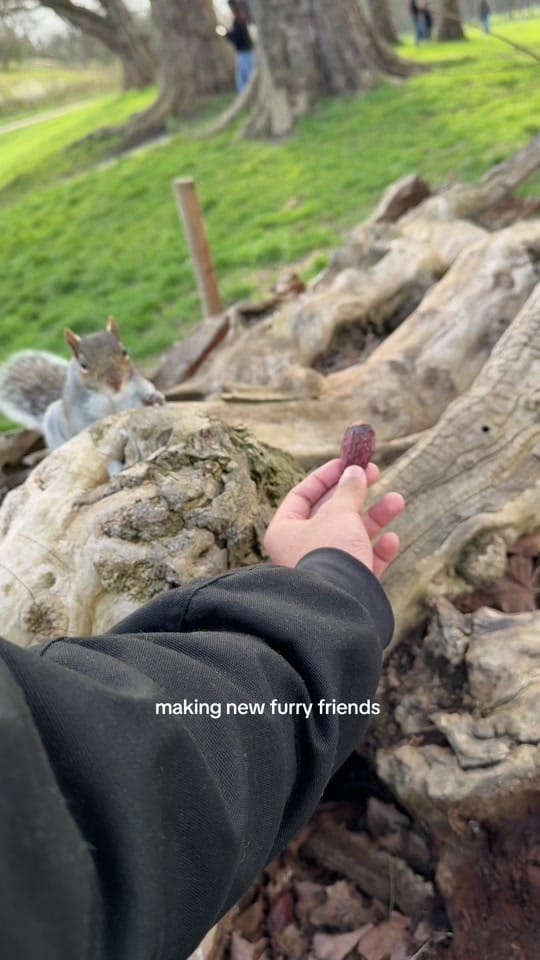 Post 4 by Faris Rezwan on TikTok (video)