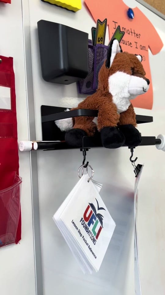 Post 4 by OwlThingsTeaching on TikTok (video)