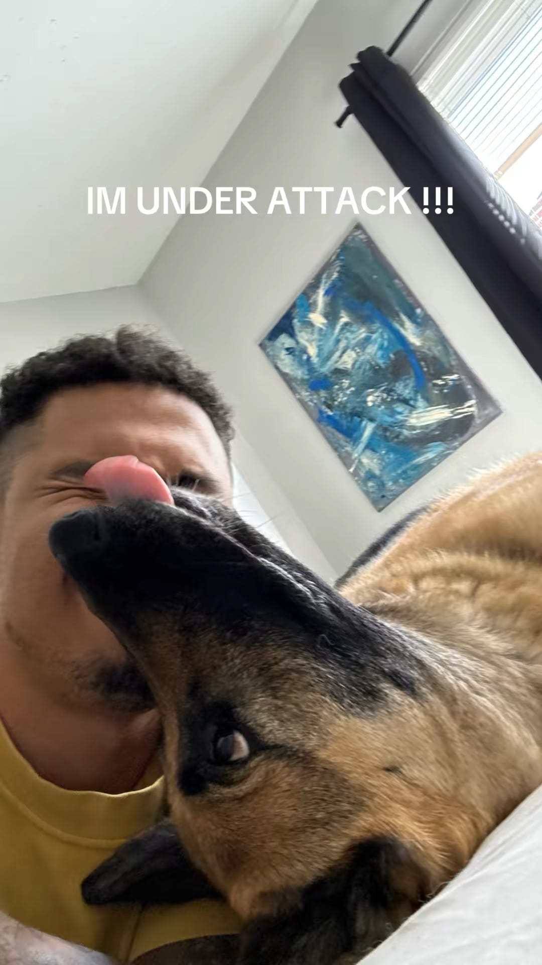 Post 7 by 🦦 on TikTok (video)