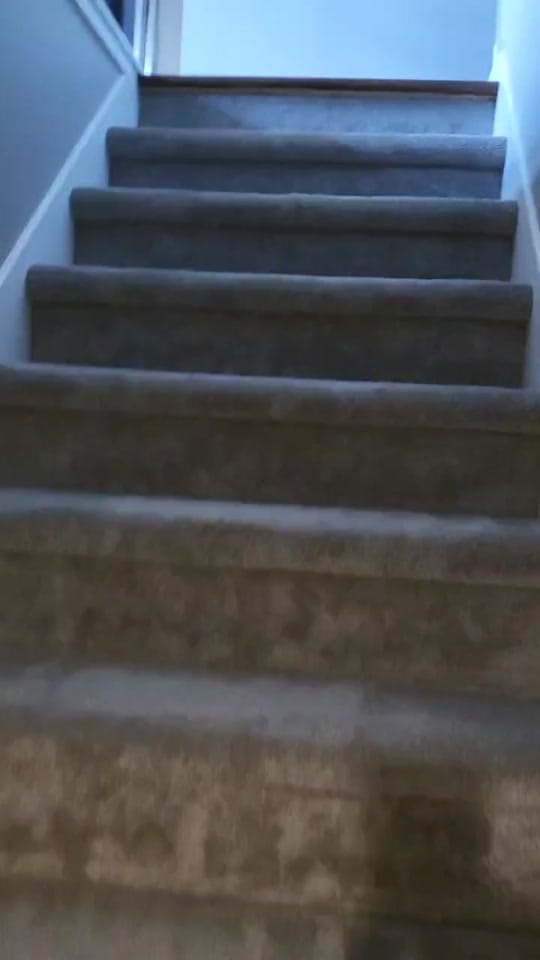 Post 10 by Kuma the Dramatic Shiba Inu on TikTok (video)