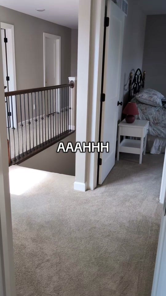 Post 4 by Kuma the Dramatic Shiba Inu on TikTok (video)