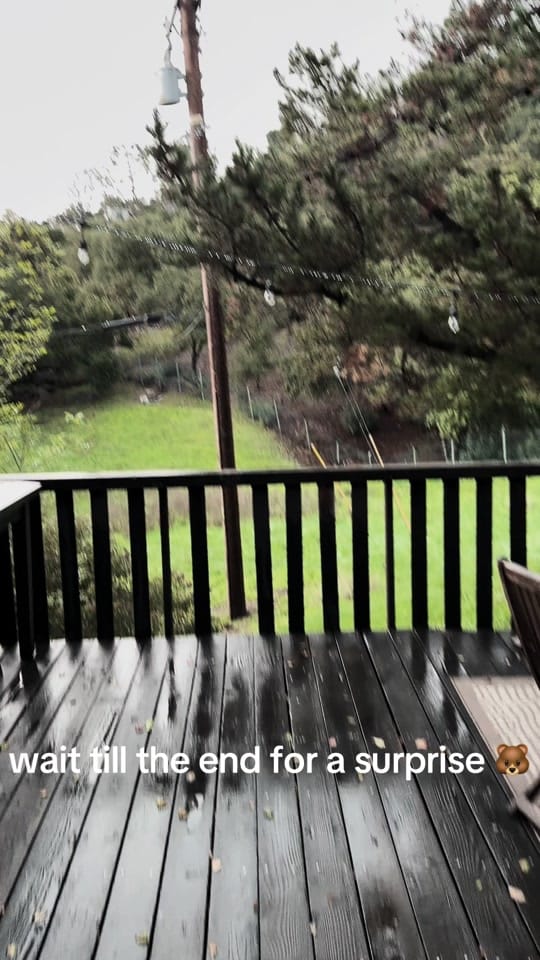 Post 10 by kenziekramer on TikTok (video)