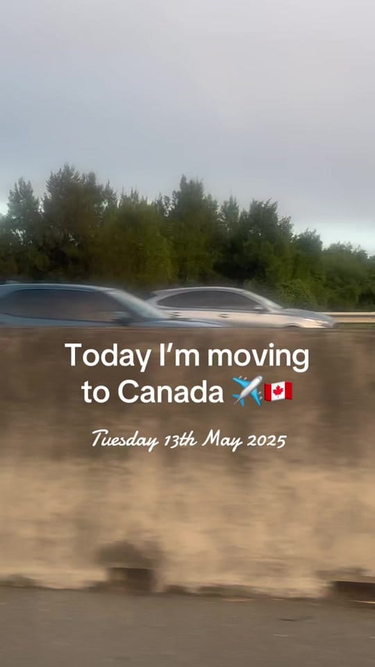 Post 9 by bree.wilmen on TikTok (video)