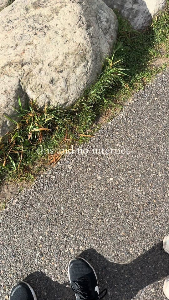 Post 1 by bree.wilmen on TikTok (video)