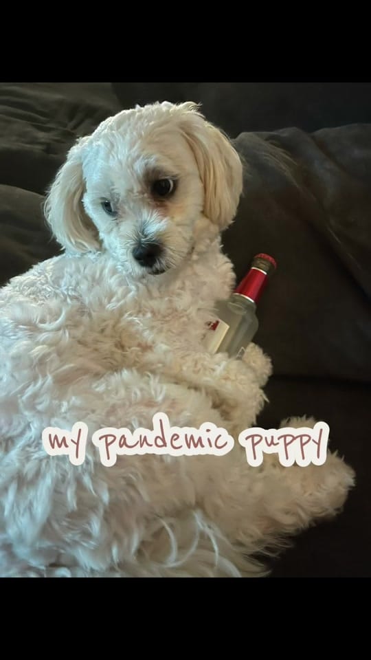 Post 7 by bree.wilmen on TikTok (video)