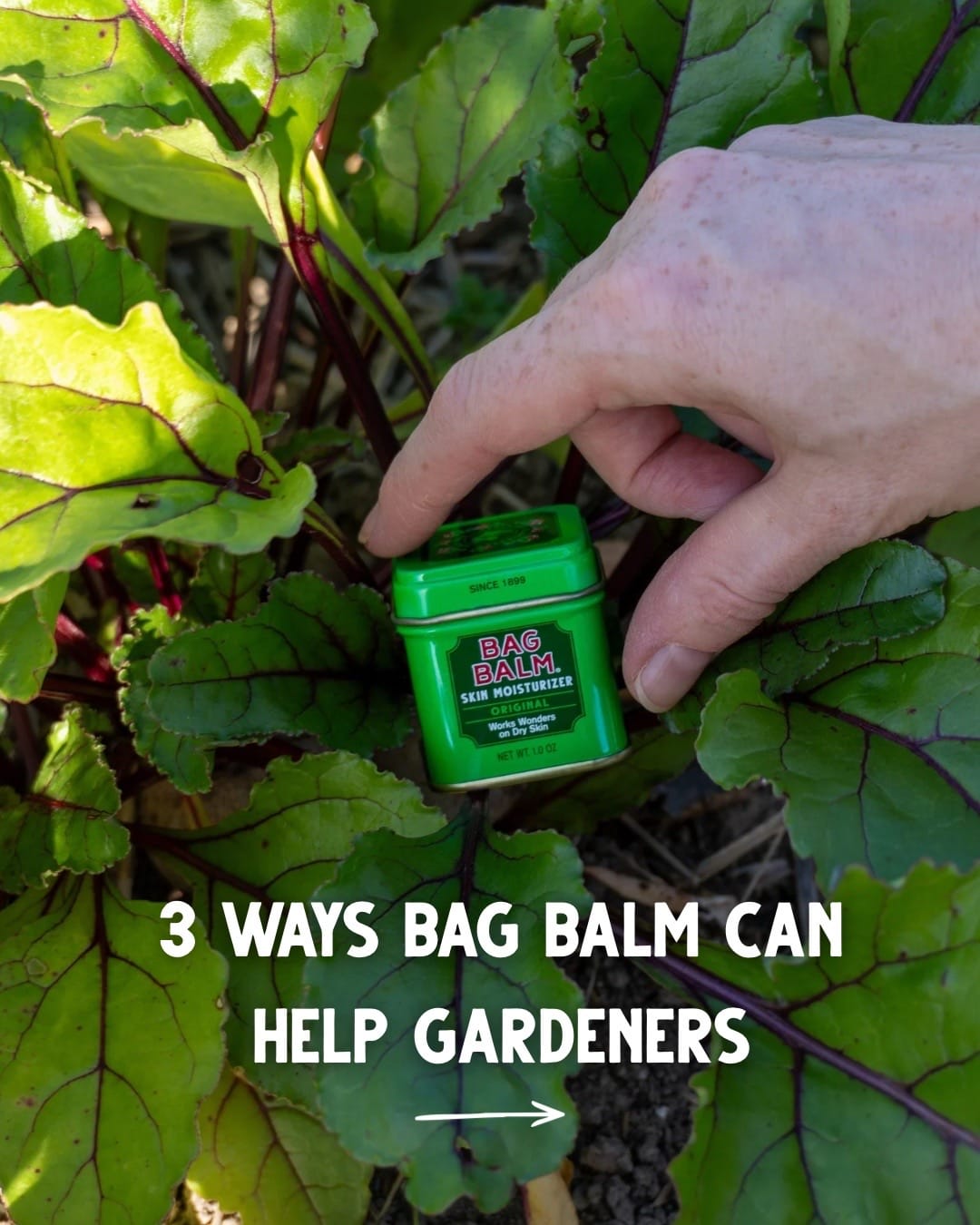 Post 1 by Bag Balm on TikTok (video)