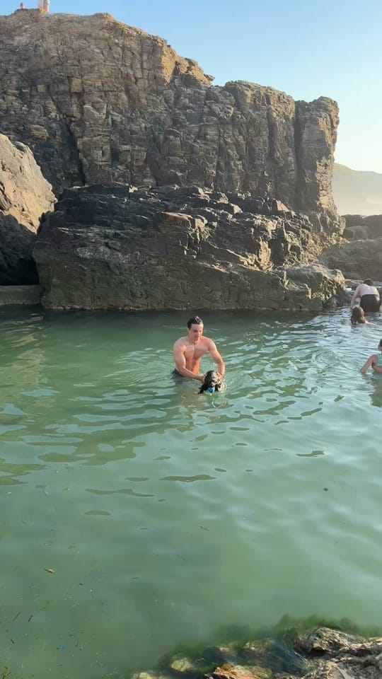 Post 4 by maggie.moo.cocker on TikTok (video)