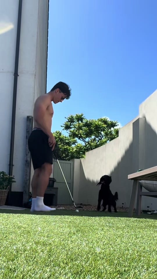 Post 2 by maggie.moo.cocker on TikTok (video)