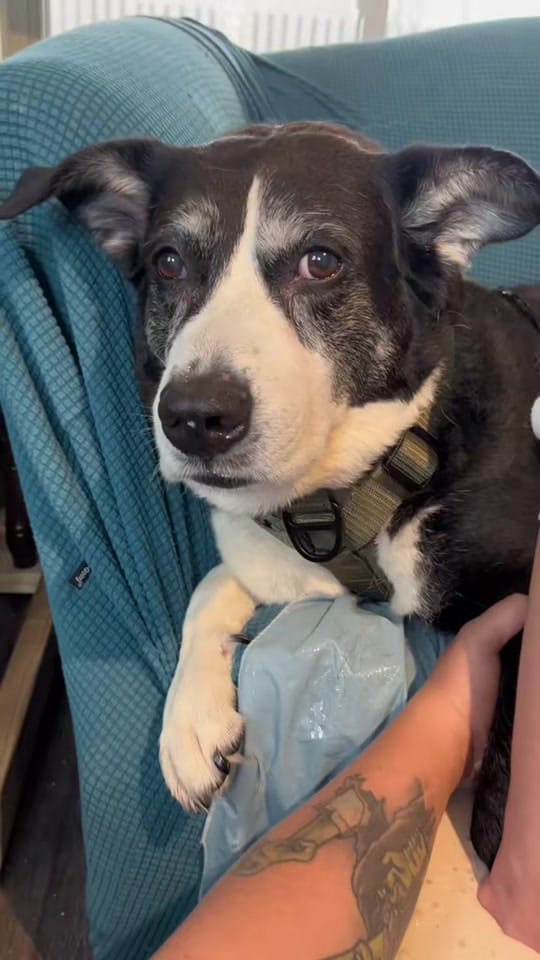 Post 4 by LastingMemoriesLifecasting🇨🇦 on TikTok (video)