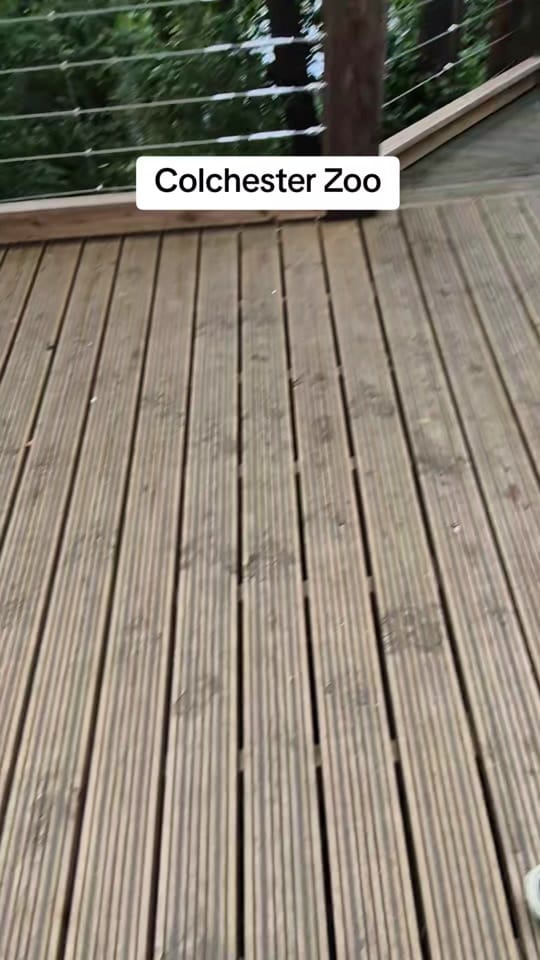 Post 5 by Paul & George | 🌈 Couple on TikTok (video)