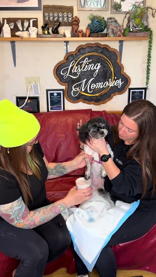 Post 9 by LastingMemoriesLifecasting🇨🇦 on TikTok (video)