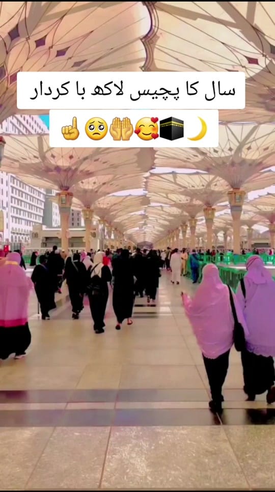 Post 4 by sajida16 on TikTok (video)